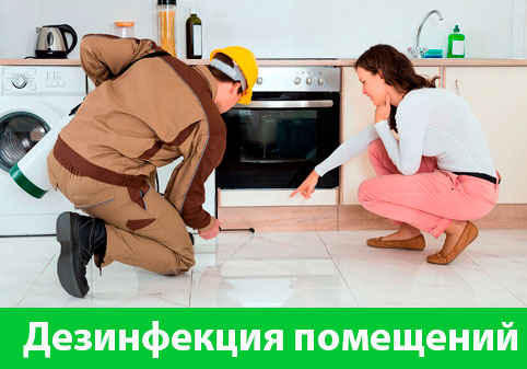 Дезинфекция офисов от коронавируса в городе Воронеж