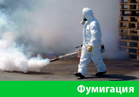Фумигация в городе Воронеж
