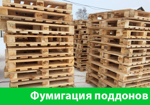 Фумигация поддонов в городе Воронеж