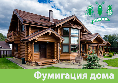 Преимущества обработки газом в городе Воронеж