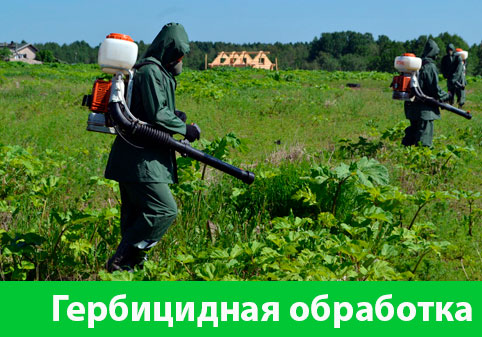 Гербицидная обработка в городе Воронеж