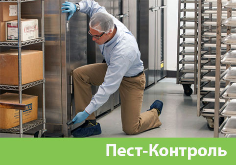 Пэст-Контроль в городе Воронеж