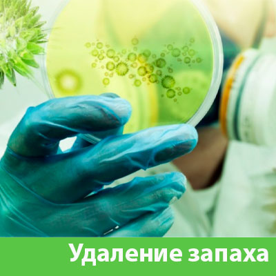 Удаление запахов в Воронеже