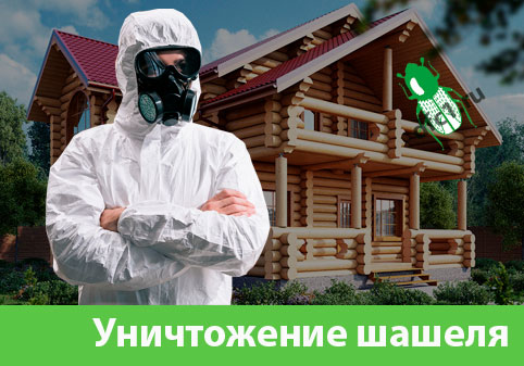 Уничтожение шашеля и личинок в Воронеже