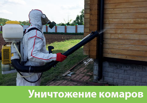Уничтожение комаров в городе Воронеж