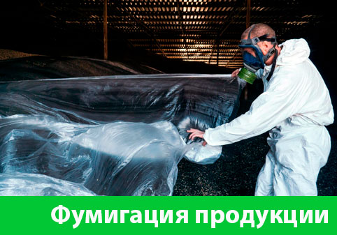 Фумигация продукции в городе Воронеж